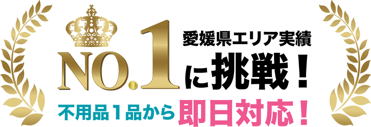 愛媛県エリア実績No.1に挑戦！不用品１品から即日対応！